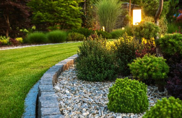 Bush Relocation in Littleton