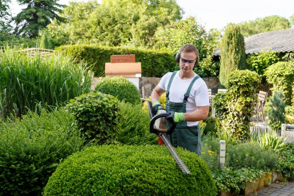 Shrubs Trimming in Littleton