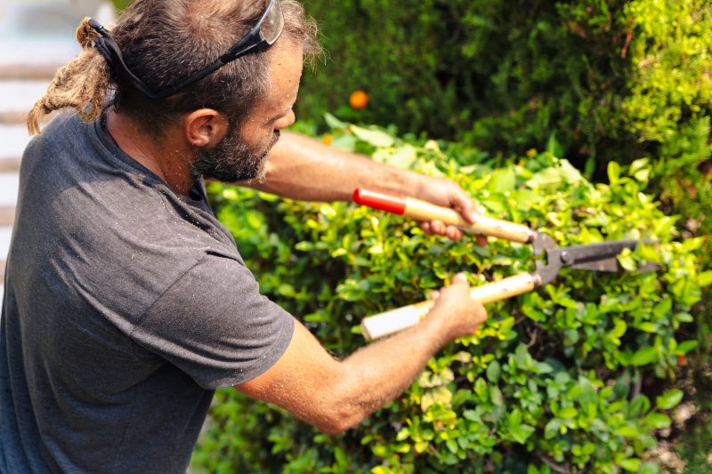 Seasonal Shrub Maintenance